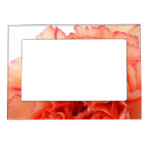 Coral Carnation Flower Bloom Magnetic Frames