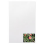Coral Colored Rose stationery