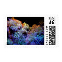 Coral Colorful postage