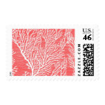 Coral Cove B by Ceci New York Postage