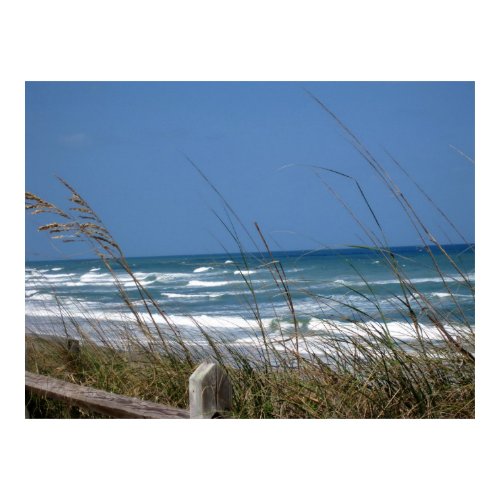 Coral Cove Beach print