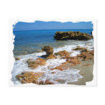 Coral Cove Park Post Card