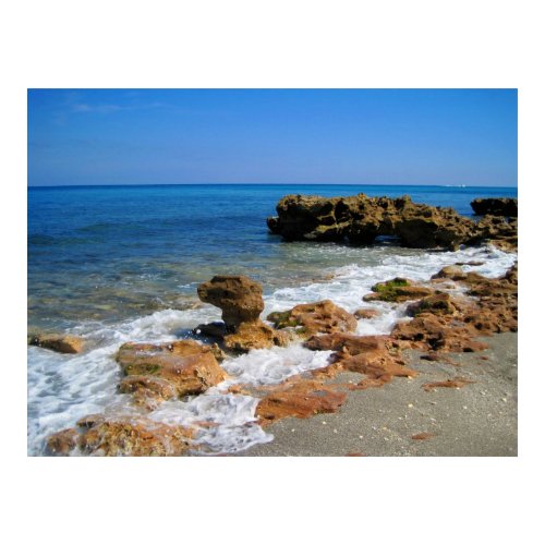Coral Cove Park print