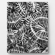 Coral fossil display plaques