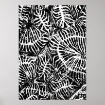 Coral fossil posters