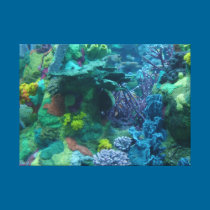 Coral Gardens canvas prints