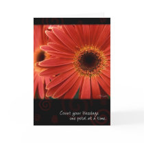 Coral Gerbera with Quote, by Anna Wight cards by AnnaWight Coral Gerbera with Quote, by Anna Wight cards
