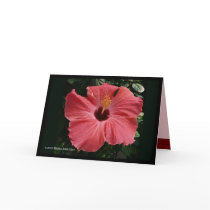 Coral Hibiscus Greeting Card