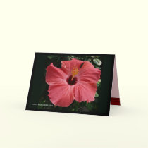 Coral Hibiscus cards