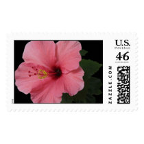 Coral Hibiscus postage