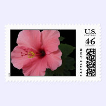 Coral Hibiscus postage