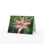 makara, lily, lilies, lillies, oriental, lilies,