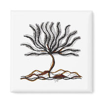 CORAL magnets