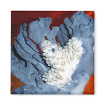 Coral magnet