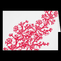 Coral Motif cards