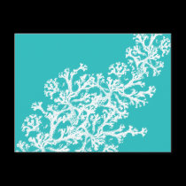 Coral Motif postcards