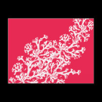 Coral Motif postcards