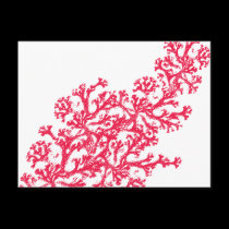 Coral Motif postcards