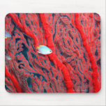 coral mouse pads