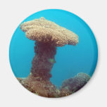 Coral Mushroom Fridge Magnet