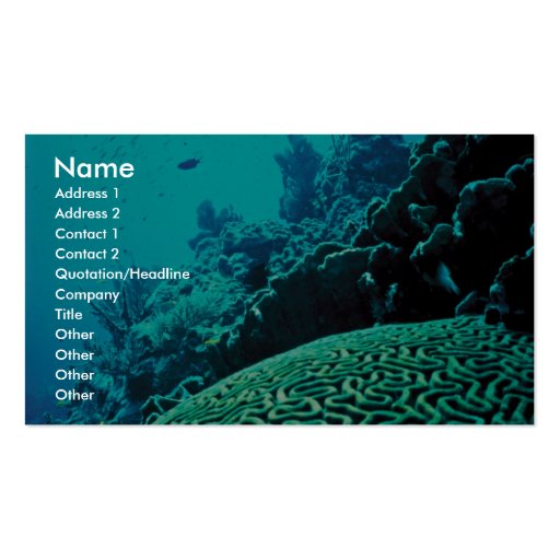Coral Reef Business Cards (front side)