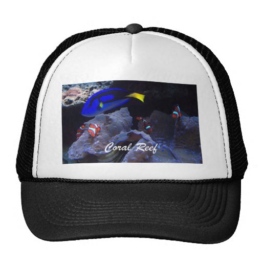 Coral Reef Hats