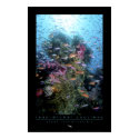 Coral Reef Poster posters by oceanfutures Coral Reef Poster posters