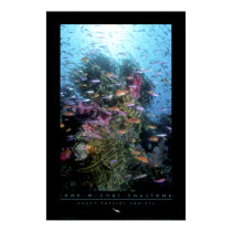 Coral Reef Poster posters by oceanfutures Coral Reef Poster posters