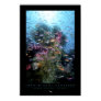 Coral Reef Poster