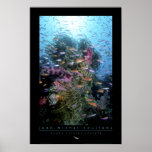 Coral Reef Poster