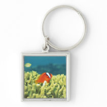 Coral reef teeming with tropical fish keychains