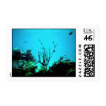 Coral Reef, Virgin Islands Stamps