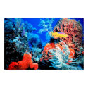 Coral Reef World Poster posters by SweetRascal Coral Reef World Poster posters