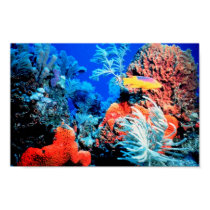 Coral Reef World Poster posters