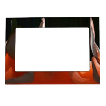 Coral Rose Abstract Picture Frame Magnets
