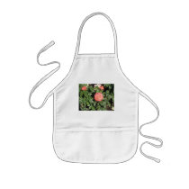 Coral Rose Bush aprons