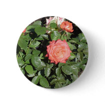 Coral Rose Bush buttons by chasingthegnome Coral Rose Bush buttons