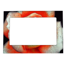 Coral Rose Magnetic Frames