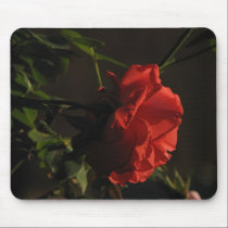 Coral Rose Mousepad mousepads