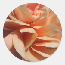 Coral Rose Wedding Envelope Seal Round Sticker