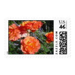 Coral Roses II Postage