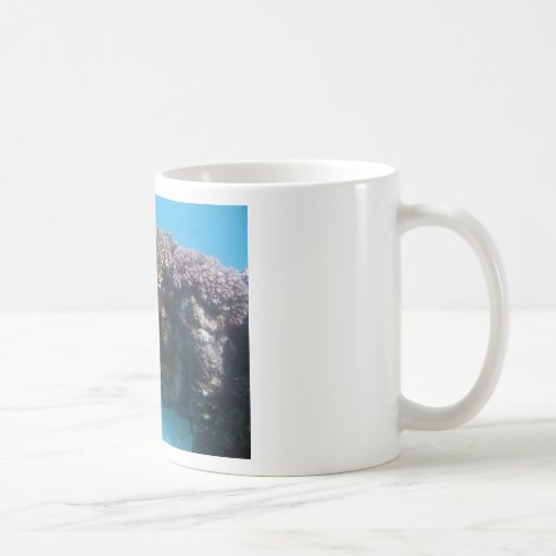 Coral Seascape Mug