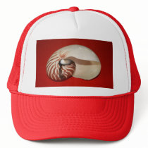 coral shell hats