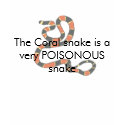 Coral Snake t-shirt faded2, The Coral snake is ...