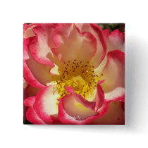 "Coral-Tinged Rose" buttons