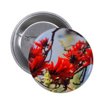 Coral tree rose flower pinback buttons
