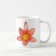 Coral Tulip ~ mug