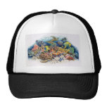Coral Waters With Tropical Fish Hats
