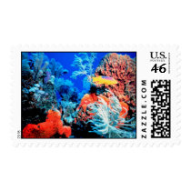 Coral Wonder Postage postage by SweetRascal Coral Wonder Postage postage
