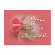 CoralAzaleaBuds- customize as needed Postcard